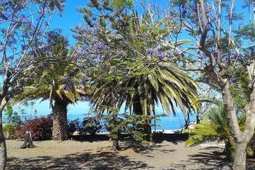 La Palma Sun Nudist