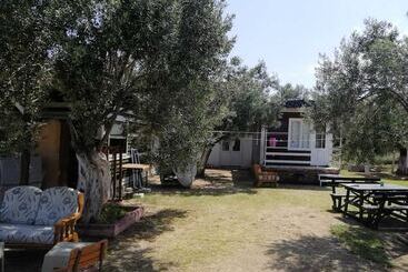 تختخواب و صبحانه Fesleğen Bungalow