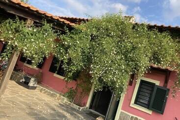 דירת נופש Summer House Surrounded By Olive Trees Halkidiki