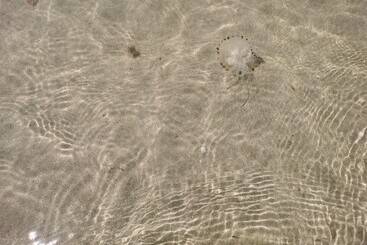 コテージ Sea And Mountain View Sunbeach Holiday Snowdonia