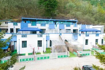 Пансион Chuncheon Dogandstay