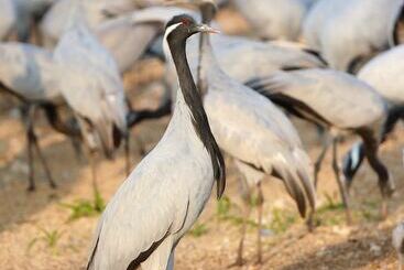 호텔 Zone Palace By The Park Phalodi