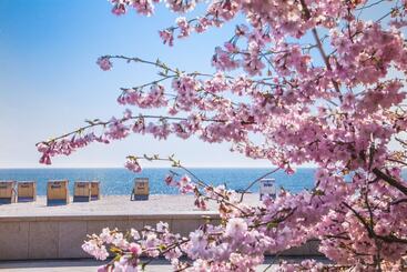بيت ريفى Strandhaus Rügen