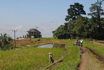 The Bali Bill Villa