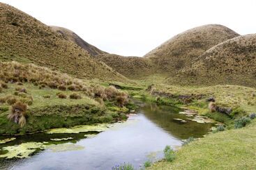 هتل روستایی Hacienda El Porvenir