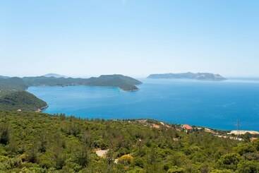 Golden Rose Suit Pension