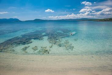 The Pelican Beach Resort & Spa  Adults Only
