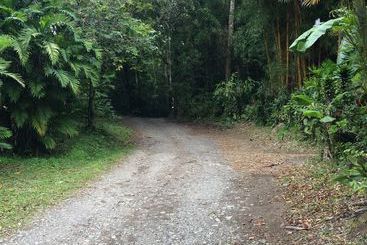 هتل El Bosque Monteverde