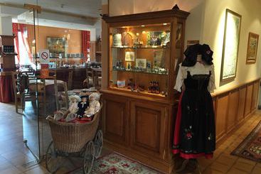 هتل Hôtel Le Riquewihr