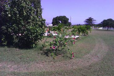 پانسیون Treasure Bay Guesthouse