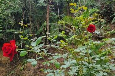 ペンション Arundina Cameron Highlands