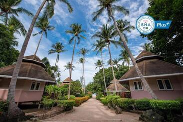 هتل Sairee Seaview Koh Tao   Hostel