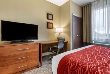 هتل Comfort Inn & Suites Near Mt. Rushmore