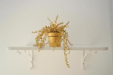 هتل Golden Garden