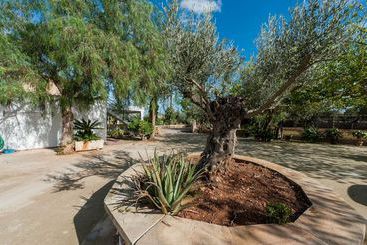 Villa Son Terrola