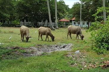 Motel The Coconut Langkawi