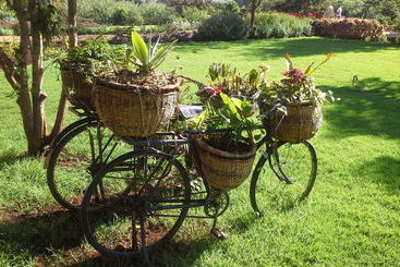 هتل Acacia Farm Lodge