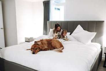 هتل آپارتمان Level Los Angeles   Downtown South Olive