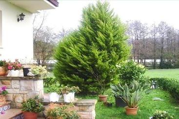 Agroturismo Ibarrondo Etxea
