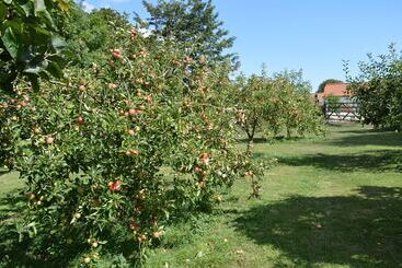 مبيت وإفطار Orchard Lodge & Wolds Restaurant