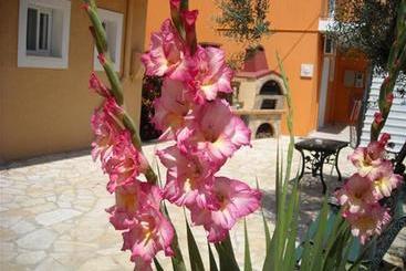 Erietta Studios