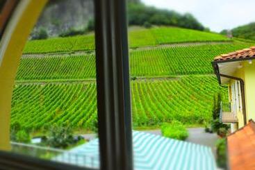 Weingut Und Hotel Haus Am Drachenloch
