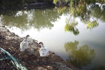 هتل Agriturismoteo