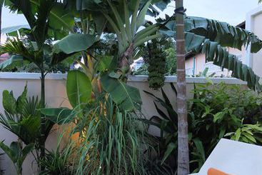 The Rose Apple Boutique Bed & Breakfast