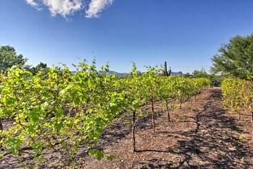 קוטג'' Luxe Tucson Vineyard Home W/ Views & Fire Pit