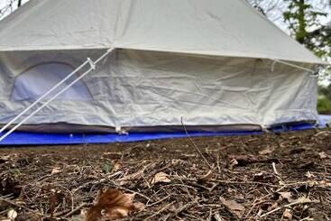茅舍 Woodlands Basic Bell Tent 3