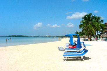 Rig Hostel Boca Chica Back Packer