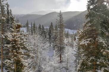 Сельский дом Alma Home ~ 20 Mi To Breckenridge: Mtn Views!