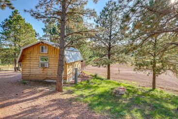 بيت ريفى Sundance Cabin Tiny Home Near Mt Rushmore!