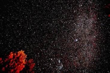 渡假胜地  Lake Ruataniwha Holiday Park