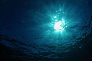 Bohio Dive Resort