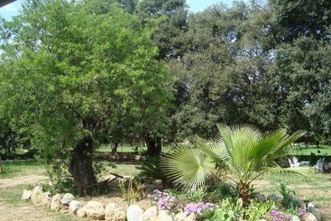 Sa Figuera Blanca