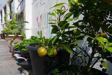Colombo City Hostel