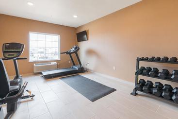 Cobblestone Hotel & Suites Pecos