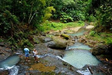 پانسیون Nature S Paradise At Marigot Bay