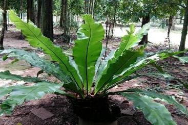 Sab Ananta Resort