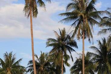 استراحتگاه Samui Le Reve
