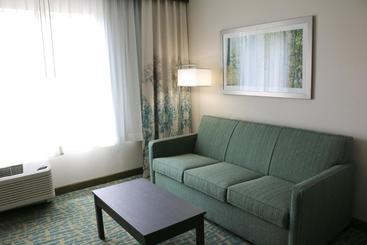 هتل Holiday Inn Express & Suites   Hendersonville Se   Flat Rock, An Ihg