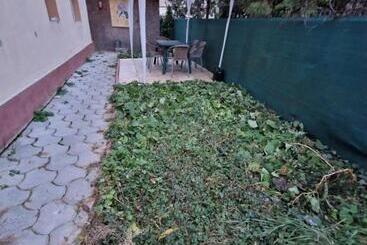 هاستل Casa Thomas Cluj