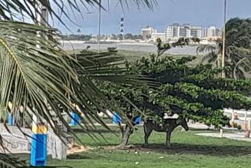 הוסטל Paraíso Atalaia Beiramar