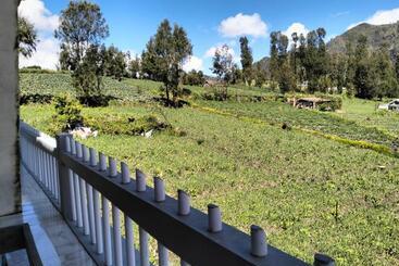 膳宿费 Bromo Seruni Astungkara Homestay