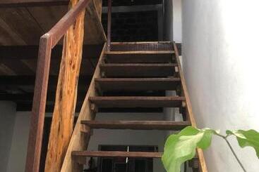 膳宿费 Hostel Solar