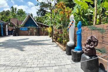 ホテル Byron Jungle Resort