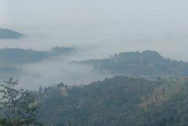 בית מלון כפרי Rock View