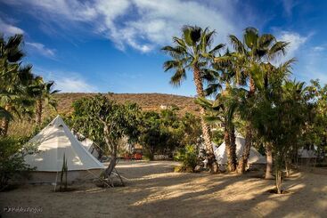 Todos Santos Hostel
