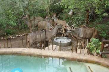 کلبه Marloth Kruger Accommodation